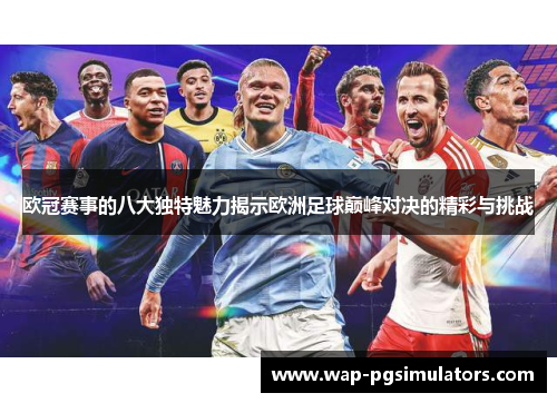 欧冠赛事的八大独特魅力揭示欧洲足球巅峰对决的精彩与挑战