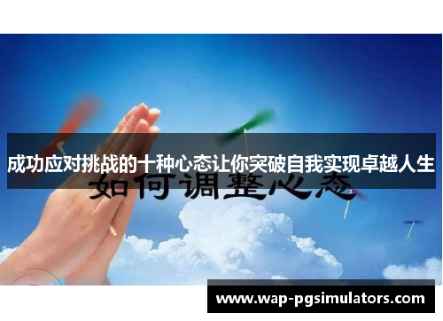成功应对挑战的十种心态让你突破自我实现卓越人生 成功应对挑战的十种心态让你突破自我实现卓越人生