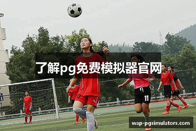 了解pg免费模拟器官网